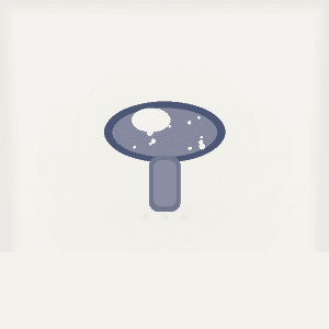 Mushroom Supplements